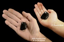 Tumbled Black Tourmaline Pocket Stone with White Inclusions