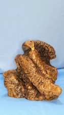 Polished Wood Burl Specimen / Natural Freeform Decorative Object — listing 5