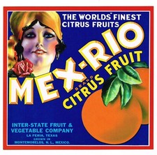 Vintage Rolf Armstrong 'Truly Delightful Double-Orange' Soda/Fruit Crate Advertising Label — listing 2