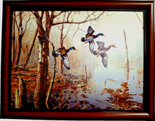 Framed Wood Duck Pair Print, Double-Matted in Black Wood Frame — listing 5
