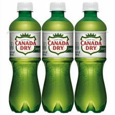 Canada Dry Ginger Ale 20 fl oz Bottle — listing 2