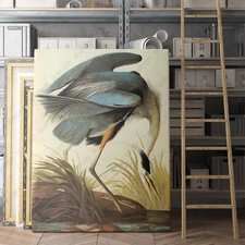 Audubon 'Blue Crane or Heron' Plate CCCVII Framed Print (17 x 24 in) — listing 3