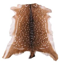Natural Spotted Deer Hide Rug (Axis Deer Style), Approx 4-5 ft, Taxidermy Animal Skin