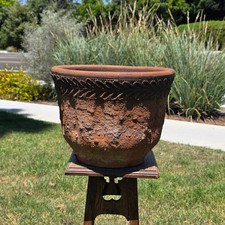 Terracotta Planter with Chevron/Herringbone Textured Pattern (with live Hosta plant)