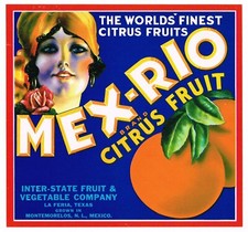 Vintage Rolf Armstrong 'Truly Delightful Double-Orange' Soda/Fruit Crate Advertising Label