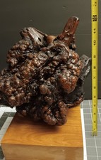 Polished Burl Wood Freeform Sculpture / Natural Root Burl Display Piece — listing 6