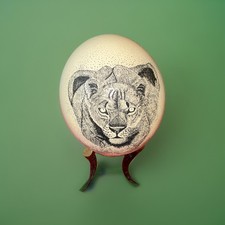 Hand-Painted Decorative Ostrich Egg with Black & White Checkerboard Pattern on Wire Stand — listing 6