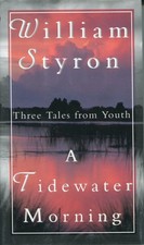 A Tidewater Morning: Three Tales from Youth by William Styron (First Edition, Hardcover) — listing 4