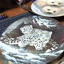 Vintage Leopard/Tiger Motif Decorative Porcelain Plate, 7.5" Diameter, Orange Black & White with Foliate Border — listing 6