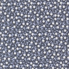Moda Sun Drenched Jelly Roll by Sweetfire Road — 2.5" Fabric Strips — listing 6