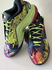 Nike LeBron XXII 'Bryce's World' Blustery Basketball Shoes — listing 3