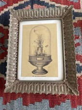Framed Sepia-Toned Print in Ornate Gilt-Wood Frame — listing 5
