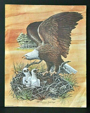 "The American Bald Eagle" by Robert Nipp - Print Mounted on Wood Plaque — listing 2