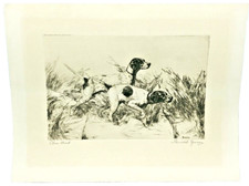 Vintage Print of a Setter/Pointer Hunting Dog, Signed 'Rosseau' in Plate — listing 6
