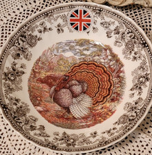 Queen's "Majestic Beauty" Turkey Transferware Coupe Bowl (Brown/Multicolor) — listing 2