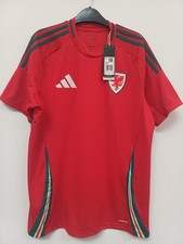 Adidas Wales National Football Team 2020-21 Home Shirt, Number 20