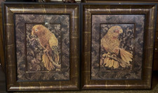 Framed Vintage Colored Print of a Macaw Parrot — listing 2