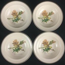Noritake Country Diary of an Edwardian Lady Cup & Saucer Set of 6 — listing 3