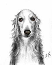 Original Charcoal/Graphite Drawing of a Terrier Dog, Titled "Man's Best Friend", Signed C. Wilson — listing 5