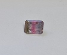 Watermelon Tourmaline Slice Cabochon in Display Case — listing 6