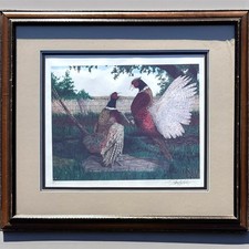 Framed Signed Wildlife Print of Bird/Pheasant on Red Background