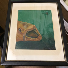 Framed Decorative Print of Brown Trout (Salmo Trutta) on Faux-Weathered Wood Background — listing 6