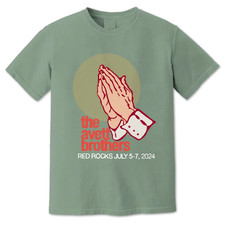 The Avett Brothers 'Est. 2001' Band T-Shirt, Brown — listing 6
