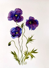 Framed Original Watercolor Still Life of Iris Flowers in Terracotta Pot, Signed — listing 6