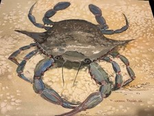 Framed Blue Crab Oil Painting on Canvas, Coastal Wall Art — listing 2