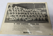 1955 St. Louis Cardinals Team Photo Budweiser Anheuser-Busch Promotional Premium — listing 2
