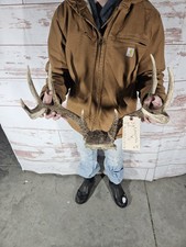 Whitetail Deer Antler Rack with Partial Skull Plate, 6-Point — listing 5