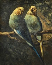 Framed Vintage Colored Print of a Macaw Parrot — listing 4