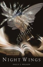 Night Wings: A Soulful Dreaming and Writing Practice by Sally J. Nelson — listing 3