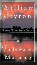 A Tidewater Morning: Three Tales from Youth by William Styron (First Edition, Hardcover)