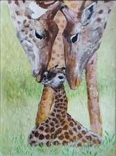 Framed Wildlife Painting of Giraffe with Doves, Signed J. Beckford — listing 6