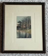 Wallace Nutting Hand-Colored Photograph "Beech Borders" — listing 2