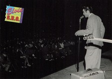 The Elvis Collection Series One 'The Cards of His Life' Trading Card Pack (12 Cards) — listing 2