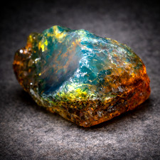 Polished Amber or Copal Rough Specimen with Natural Inclusions — listing 6