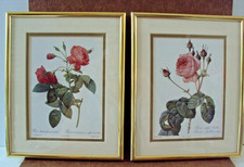 Framed Floral Botanical Decorative Art Print, Signed — listing 2