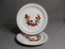 Spring Collection Strawberry Patch Stoneware Dinner Plate