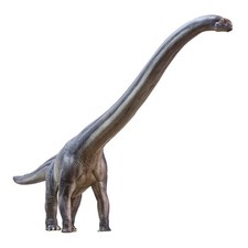 Green Sauropod Dinosaur Toy Figure (Brachiosaurus/Apatosaurus type), Soft Vinyl/Rubber