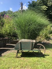 Antique Primitive Wooden Wheelbarrow in Original Blue Paint with Spoked Wooden Wheel