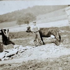 Antique Sepia Farm Scene Photograph with Cattle and Farmhouse, Framed — listing 6