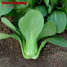 Chinese Hand-Painted Bok Choy Cabbage Leaf Vase with Butterfly Motif — listing 4