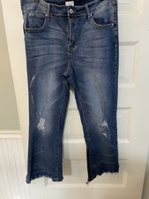 Chic Soul Plus Size Dark Wash Skinny Jeans, Size 24 — listing 2