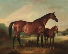 Vintage Framed Black & White Print of Two Rearing Horses (Black Stallion & White Mare) — listing 4