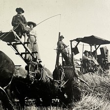 Antique Sepia Farm Scene Photograph with Cattle and Farmhouse, Framed — listing 2