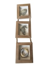 Kirkland Framed Blue Seahorse Coastal Wall Art Picture