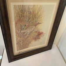 Framed Wood Duck Pair Print, Double-Matted in Black Wood Frame — listing 2