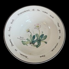 Noritake Country Diary of an Edwardian Lady Serving Platter Willow Warbler